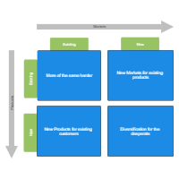Ansoff Matrix Example