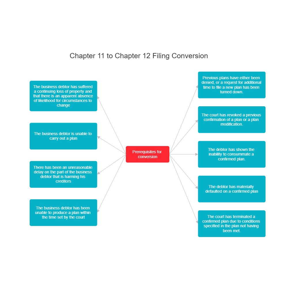 Example Image: Chapter 11 to Chapter 12 Filing Conversion