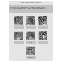 Fingerprint Classifications