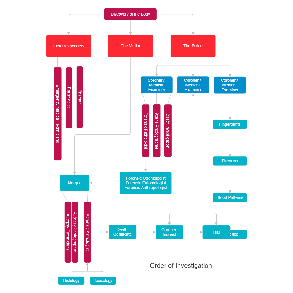 Example Image: Order of Investigation