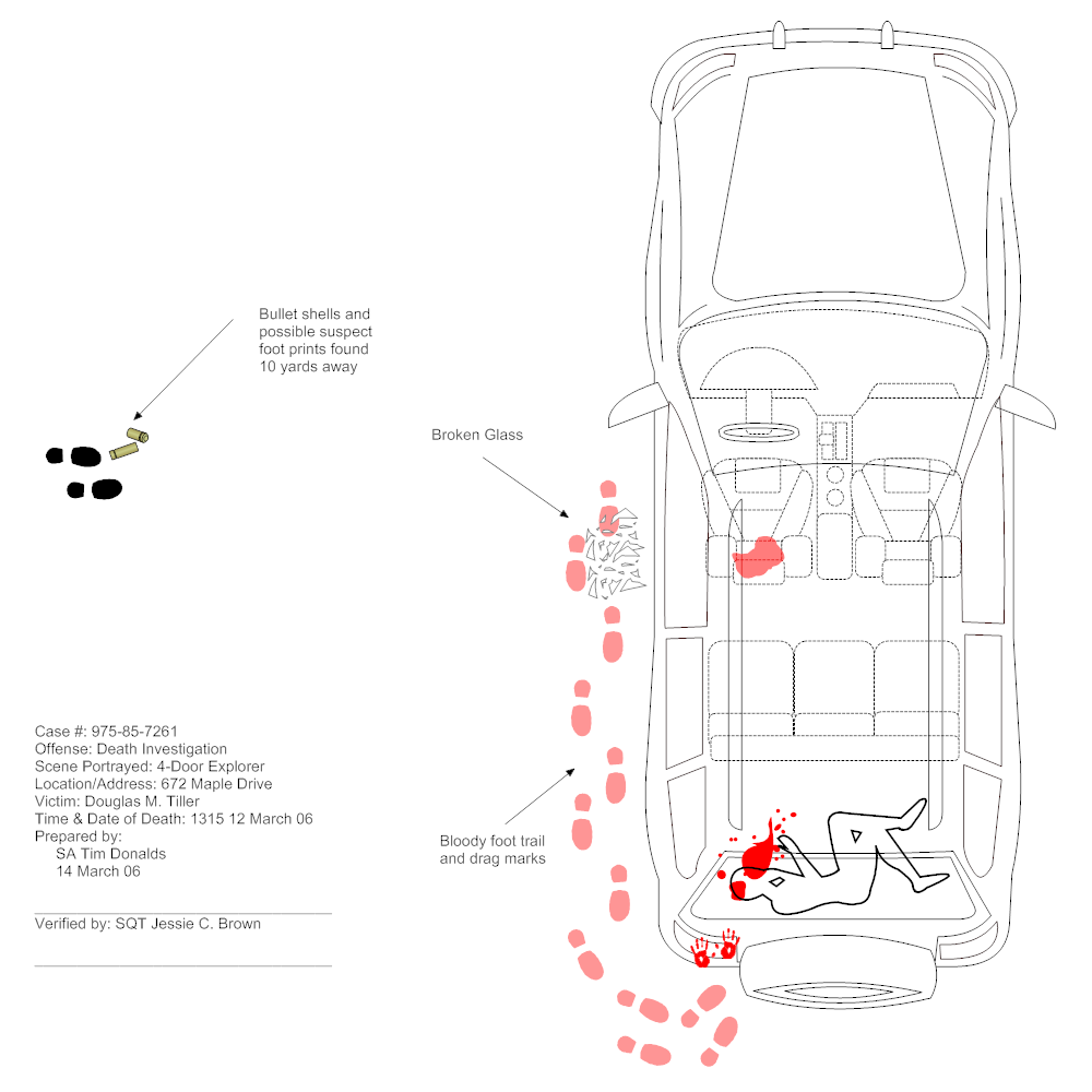 Example Image: Murder Crime Scene