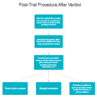 Post-Trial Procedure After Verdict