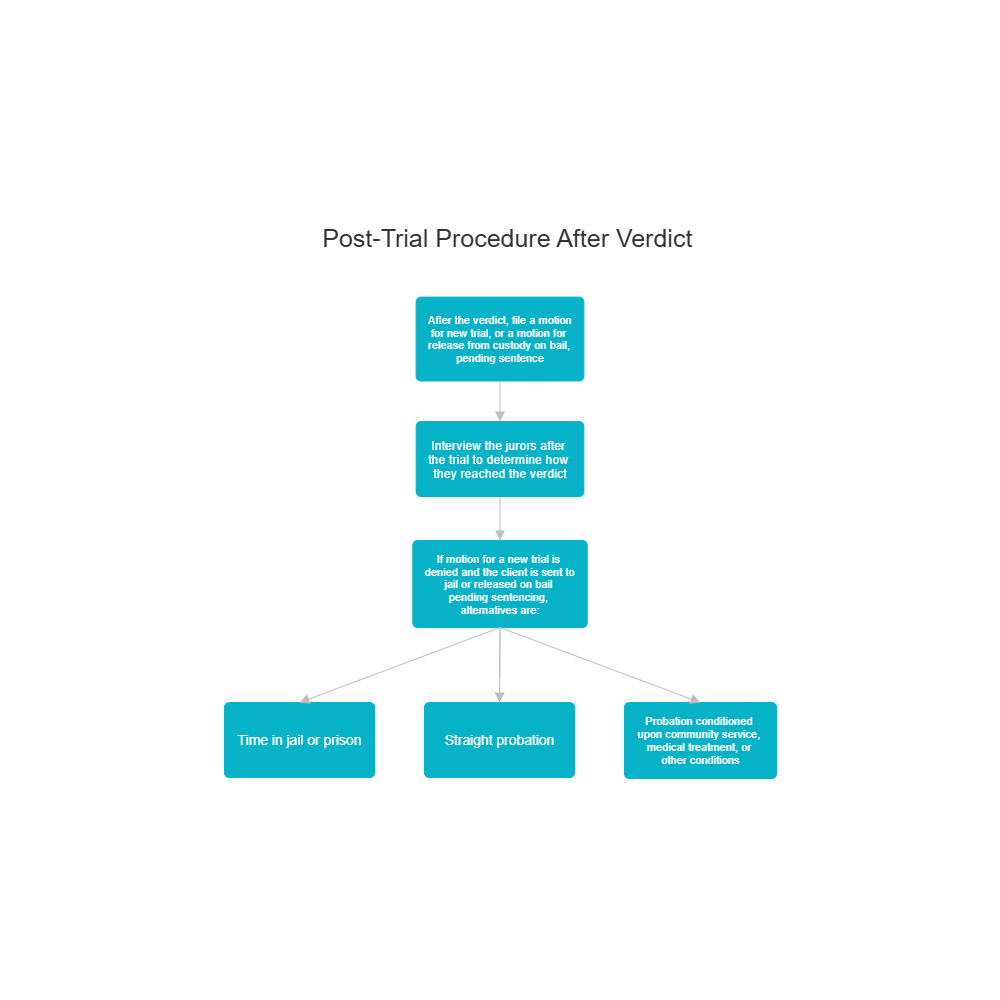Example Image: Post-Trial Procedure After Verdict