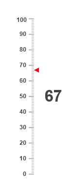 Linear vertical gauge