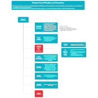 Federal Court Practice and Procedure