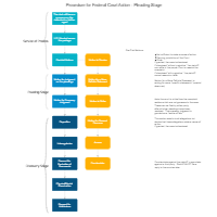 Procedure for Federal Court Action - Pleading Stage