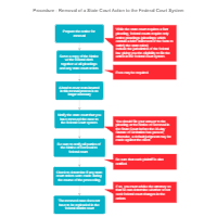 Procedure - Removal of a State Court Action to the Federal Court System