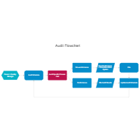 Audit Flowchart