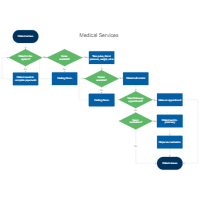 Medical Services Flowchart