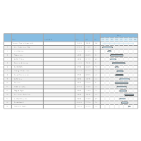 Business Preparation Gantt Chart