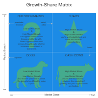 Growth-Share Matrix Guidelines