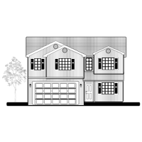 House Elevation in B&W