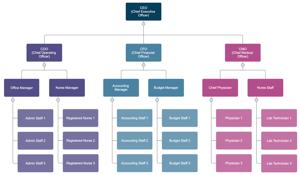 healthcare organizational chart