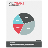 Pie Chart 01
