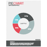Pie Chart 02