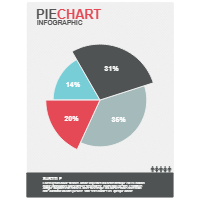Pie Chart 03