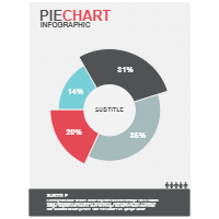 Pie Chart 04