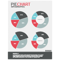 Pie Chart 05