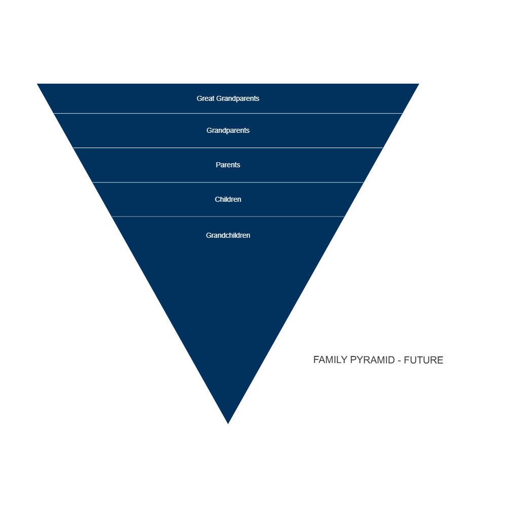 Example Image: Family Pyramid - Future
