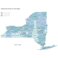 Influenza Activity Week Map