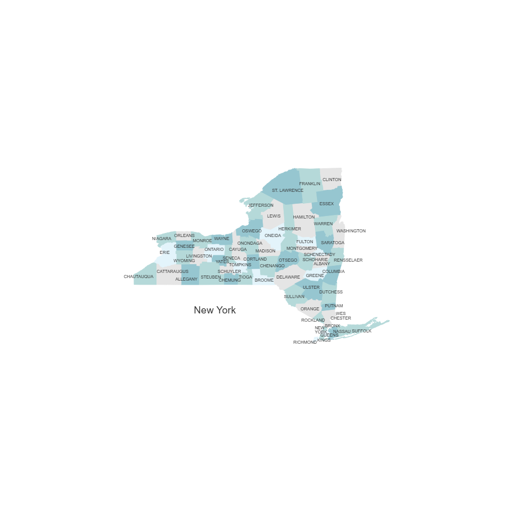 Example Image: New York Counties Map
