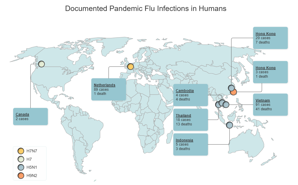 Example Image: Pandemic Flu World Map