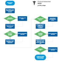 Physical Assesment Flowchart