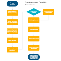 Post-Anesthesia Care Unit Flowchart