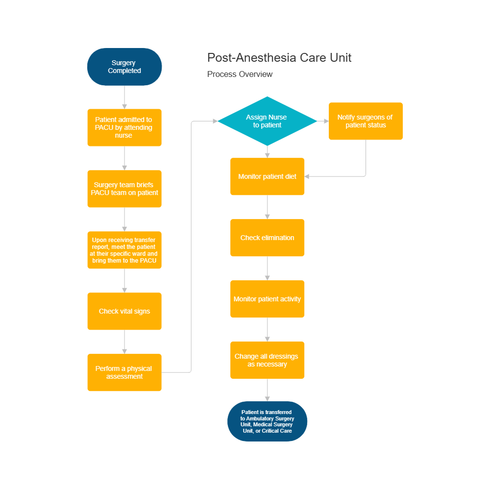 Example Image: Post-Anesthesia Care Unit Flowchart