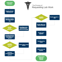 Requesting Lab Work - Medical Process Flowchart