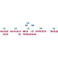 Finance Division Organization Chart