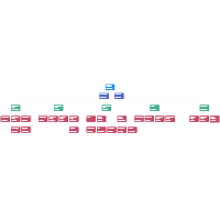 Finance Division Organization Chart