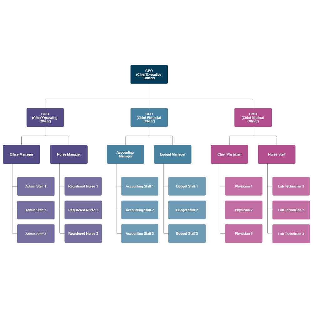 Example Image: Healthcare Organizational Chart