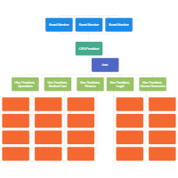 Hospital Organizational Chart