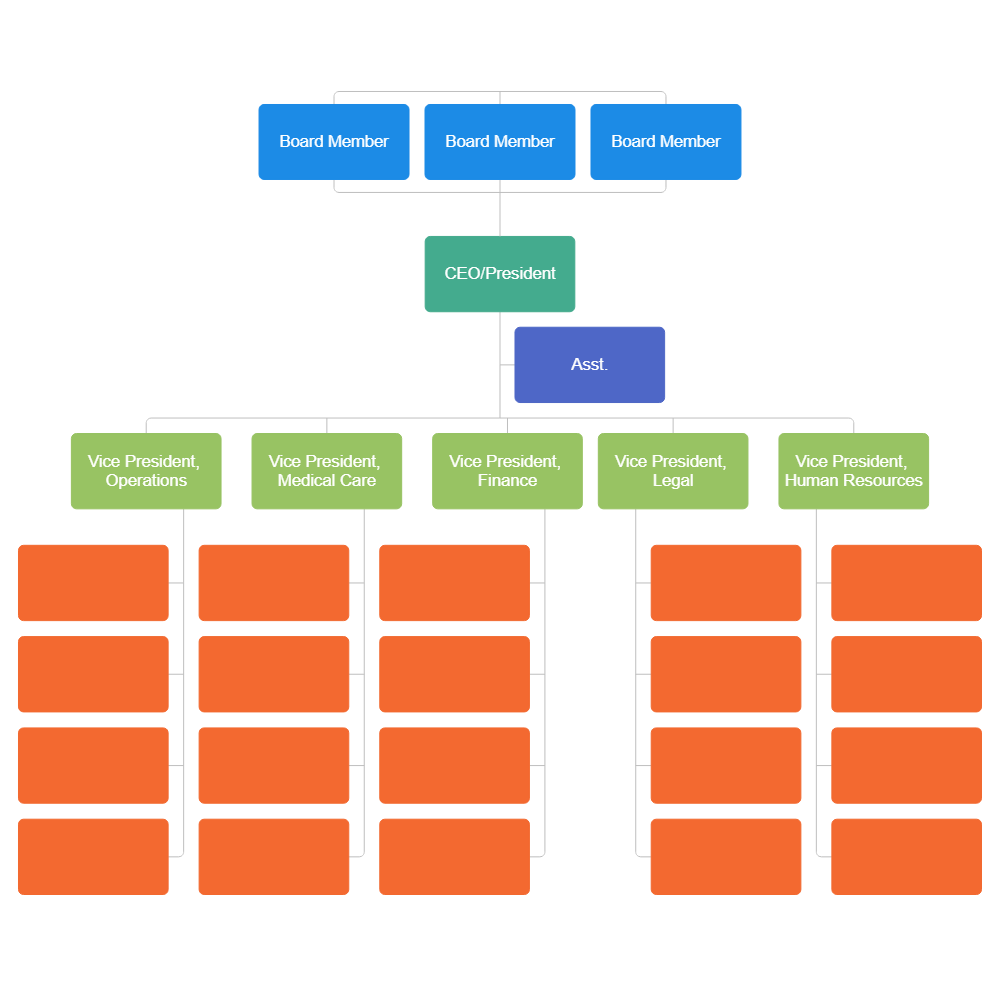 Example Image: Hospital Organizational Chart