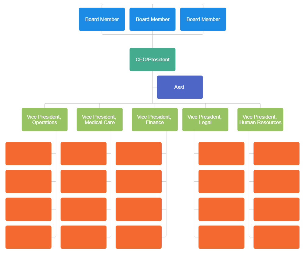 Example Image: Hospital Organizational Chart