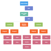 Police Department Organizational Chart