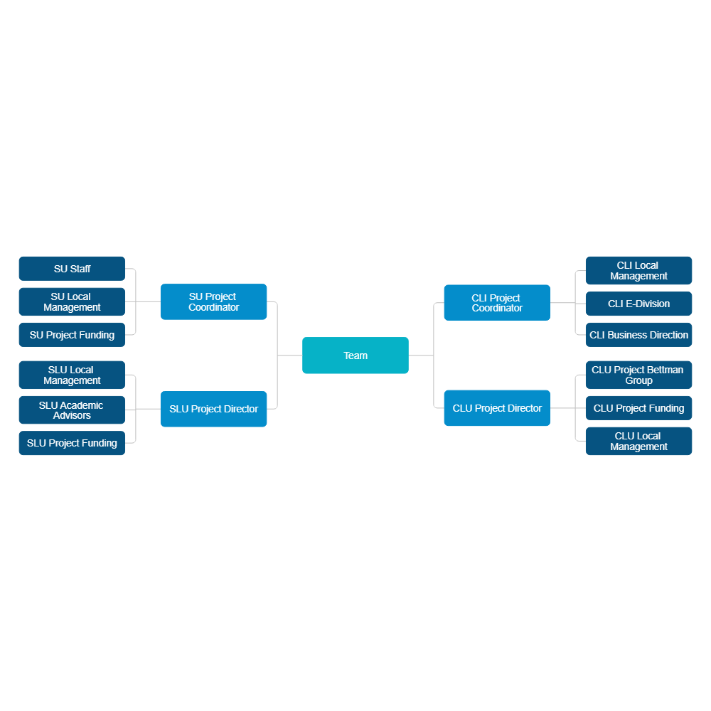 Example Image: Team Hierarchy Chart