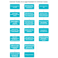 General Duties of a Legal Assistant in Criminal Cases