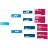 Pedigree Chart Example