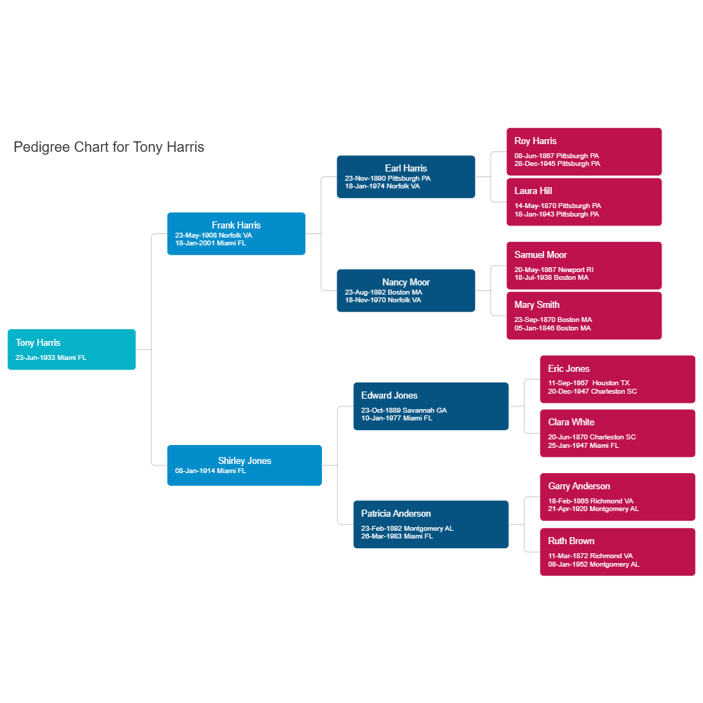 Example Image: Pedigree Chart Example