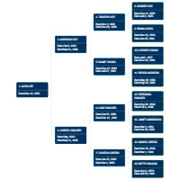 Pedigree Chart Template