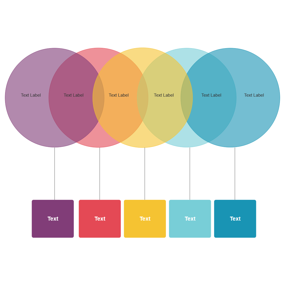 Example Image: Ring Diagram - 2