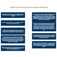 State Court Practice and Procedure