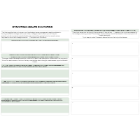 Strategic Issues Synthesis