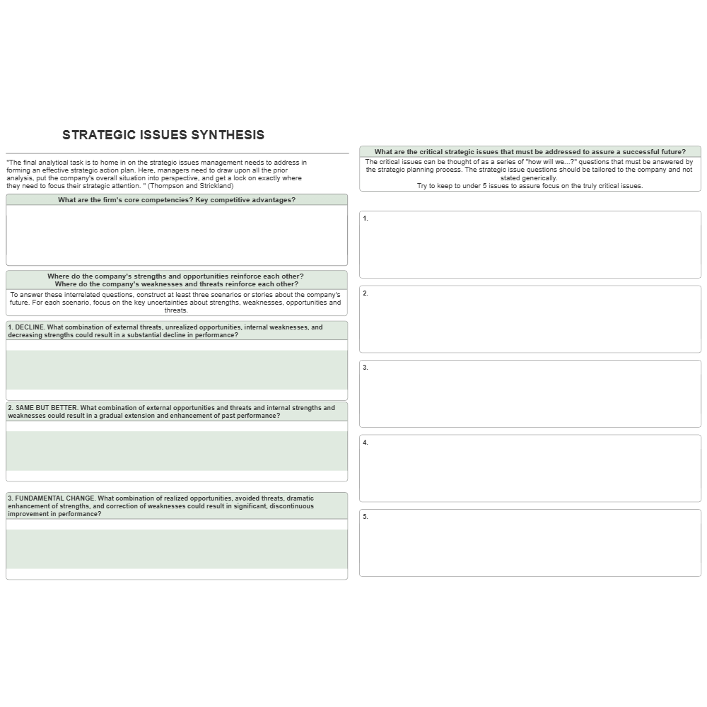 Example Image: Strategic Issues Synthesis