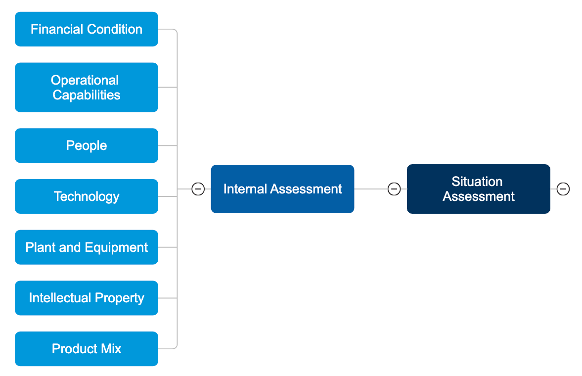 Strategic Planning Internal Assessment