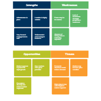 Marketing SWOT Analysis