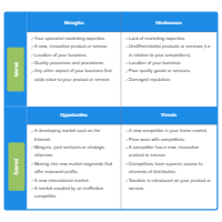 Product Marketing - SWOT Diagram