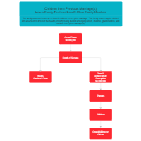 Example - How a Family Trust Can Benefit Other Family Members